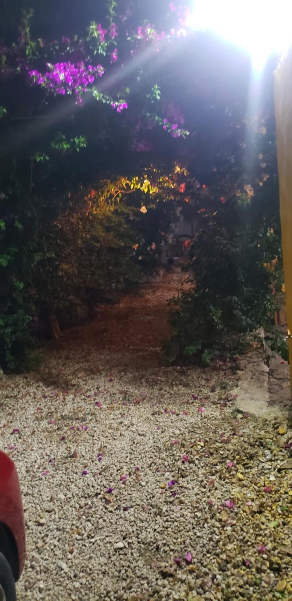 ואיאדוליד Casa "Los Jarochos" 2 מראה חיצוני תמונה